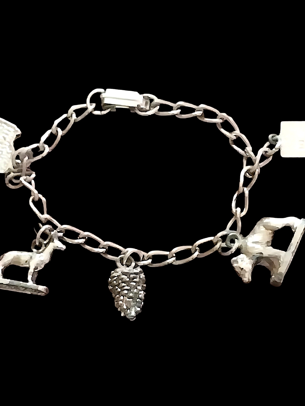 Yosemite Falls Engraved Silver-tone  Charm Bracelet